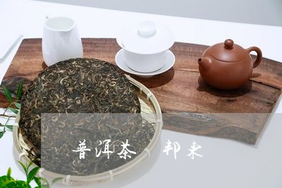 普洱茶 邦东/2023042700875